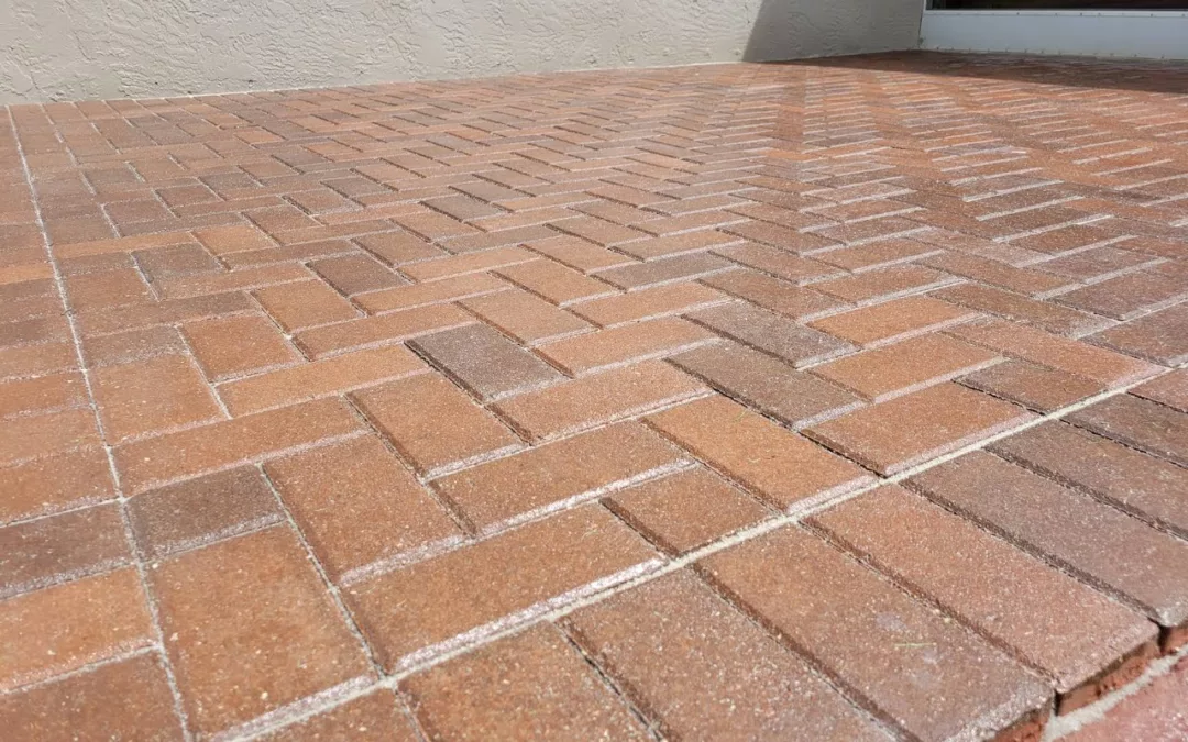 Paver Sealing in Tampa: The Ultimate Guide for Long-Lasting Results
